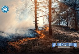 Dos mujeres gravemente heridas tras ser atropelladas por un auto fuera de control