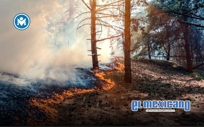 Exhorta Protecci&oacute;n Civil BC a tomar precauciones por alto riesgo de incendios