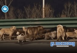 &iquest;Qu&eacute; se celebra el 25 de marzo? Estas son las fechas, acontecimientos y personajes que se recuerdan hoy