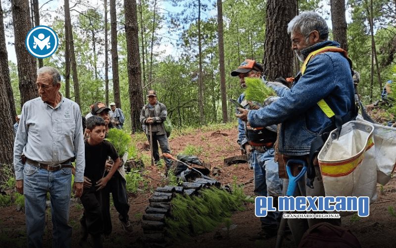 Agua para la Monarca: alianza comunitaria y empresarial contra el estr&eacute;s h&iacute;drico en M&eacute;xico