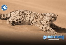 Meta y YouTube pierden juicio en Los &Aacute;ngeles y deber&aacute;n pagar indemnizaci&oacute;n