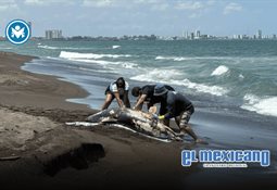 Jalisco impulsa turismo y deporte con &acute;Exploremos al estilo Jalisco&acute; y Down Puerto Vallarta 2026