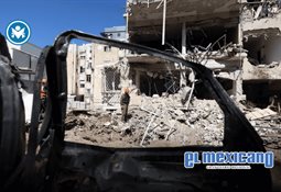 Rescatan leopardo de las nieves hallado en pleno desierto de China