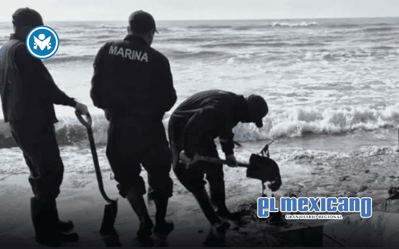 Autoridades despliegan limpieza y apoyo a pescadores