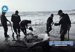 Senado aprueba reforma electoral de Sheinbaum, pero frena cambios al revocatorio