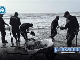 Semar se&ntilde;ala a un buque en Coatzacoalcos y a chapopoteras como causas de las manchas de hidrocarburo en el Golfo de M&eacute;xico