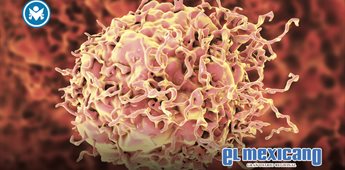 Nueva combinaci&oacute;n de f&aacute;rmacos mejora la inmunoterapia en c&aacute;ncer colorrectal avanzado