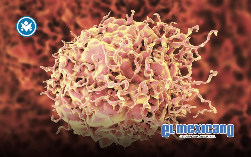 Nueva combinación de fármacos mejora la inmunoterapia en cáncer colorrectal avanzado Nueva combinación de fármacos mejora la inmunoterapia en cáncer colorrectal avanzado