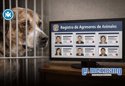 Reunir&aacute; Tijuana talento internacional en el World Bellydance Convention 2026