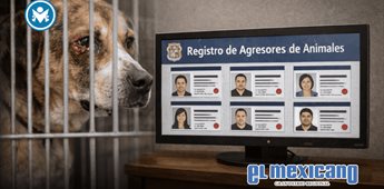 Baja California endurece penas y crea registro para agresores de animales
