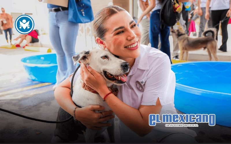 Acerca Marina del Pilar servicios gratuitos a perros y gatos