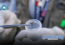 Convoca Protección Civil BC a macro simulacro estatal Convoca Protección Civil BC a macro simulacro estatal