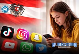 Piden apoyo para cuidar a cachorros de oso hu&eacute;rfanos