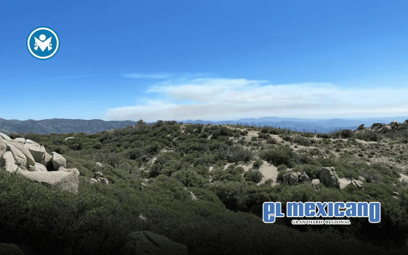 Declaran liquidado al 100% el incendio intermunicipal Mesa El Barreal