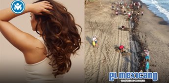 Piden donar cabello para limpiar derrame en el Golfo Piden donar cabello para limpiar derrame en el Golfo