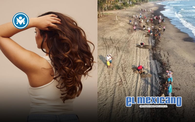 Piden donar cabello para limpiar derrame en el Golfo Piden donar cabello para limpiar derrame en el Golfo
