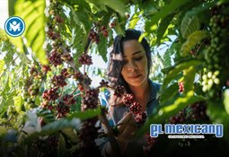 México enfrenta persistencia del analfabetismo, advierte la Unesco