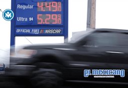 Windsurfista choca con ballena gris en Bah&iacute;a de San Francisco