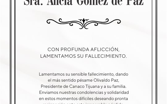Alicia G&oacute;mez de Paz