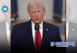 Windsurfista choca con ballena gris en Bah&iacute;a de San Francisco