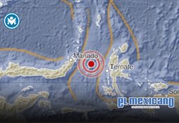 Windsurfista choca con ballena gris en Bah&iacute;a de San Francisco