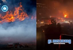 Sismo de magnitud 5,4 sacude Cebu, Filipinas; no se reportan víctimas Sismo de magnitud 5,4 sacude Cebu, Filipinas; no se reportan víctimas