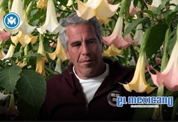 Sismo de magnitud 5,4 sacude Cebu, Filipinas; no se reportan víctimas Sismo de magnitud 5,4 sacude Cebu, Filipinas; no se reportan víctimas