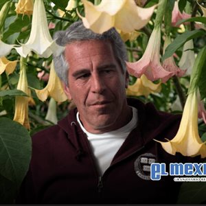 Revelan supuesta flor paralizante ligada a Jeffrey Epstein