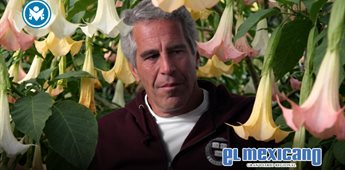 Revelan supuesta flor paralizante ligada a Jeffrey Epstein