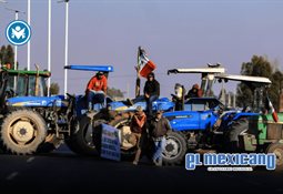 Tribunal mantiene suspensi&oacute;n contra entrega obligatoria de datos para CURP biom&eacute;trica