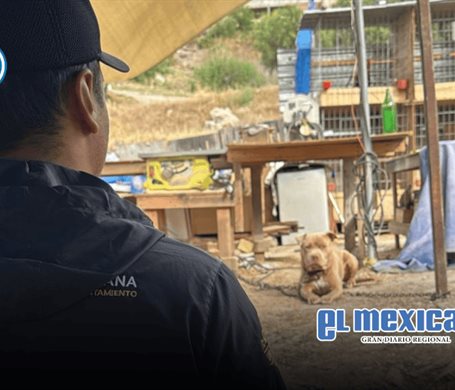 Atienden reporte por presunto maltrato animal en la colonia Alcatraces