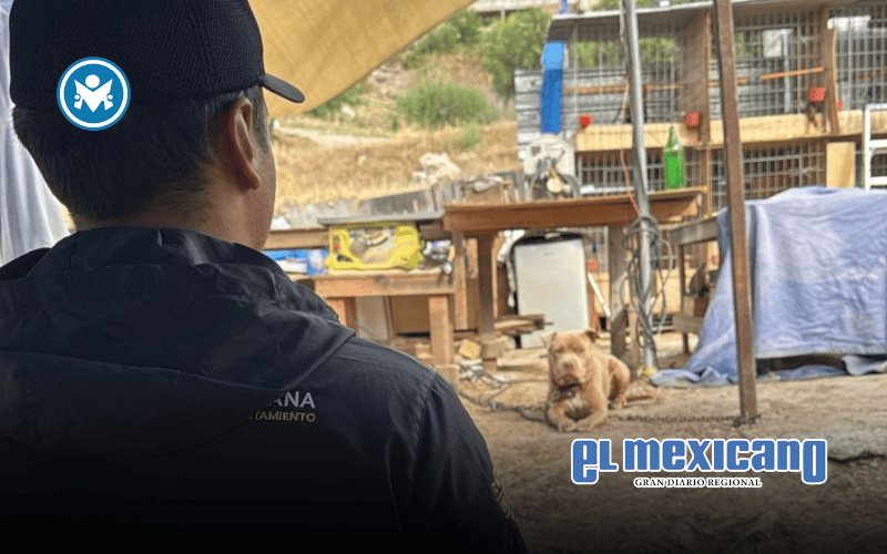 Atienden reporte por presunto maltrato animal en la colonia Alcatraces