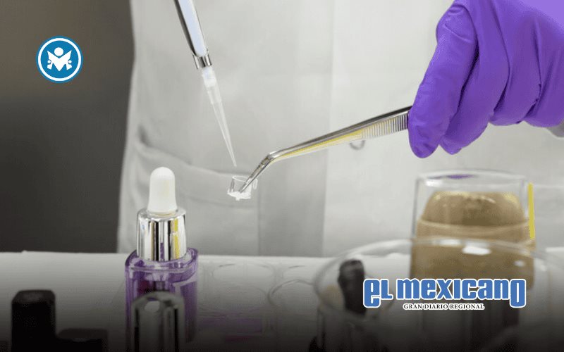 L´Oréal impulsa la belleza responsable a través de la ciencia L´Oréal impulsa la belleza responsable a través de la ciencia