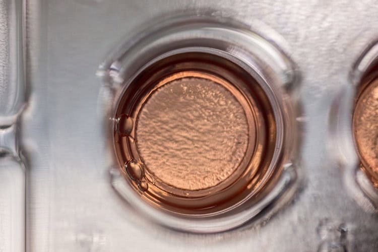 imagen-cuerpo imagen-cuerpo