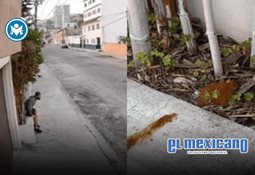 Fortalece Deitac su estrategia de trabajo con el respaldo de expresidentes del organismo Fortalece Deitac su estrategia de trabajo con el respaldo de expresidentes del organismo