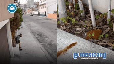 Vecina denuncia que alguien defecó en su jardinera en la colonia Cacho Vecina denuncia que alguien defecó en su jardinera en la colonia Cacho
