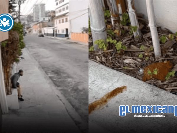 Vecina denuncia que alguien defec&oacute; en su jardinera en la colonia Cacho