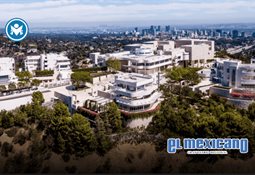 Rescatan a 250 caniches hacinados en una vivienda en Inglaterra