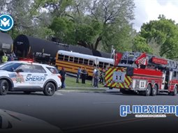 Autobús escolar casi es embestido por tren en Florida; conductora es arrestada Autobús escolar casi es embestido por tren en Florida; conductora es arrestada