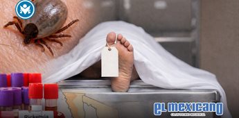 Baja California registra 14 muertes por rickettsia en lo que va de 2026 Baja California registra 14 muertes por rickettsia en lo que va de 2026