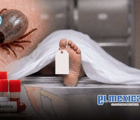 Baja California registra 14 muertes por rickettsia en lo que va de 2026 Baja California registra 14 muertes por rickettsia en lo que va de 2026