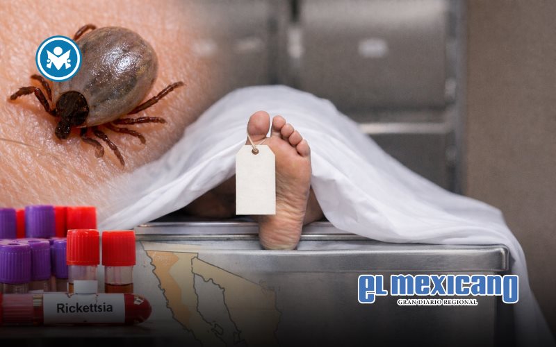 Baja California registra 14 muertes por rickettsia en lo que va de 2026 Baja California registra 14 muertes por rickettsia en lo que va de 2026