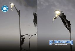 &iquest;El Punch mexicano? Yuji, mono beb&eacute; rechazado en Guadalajara, conmueve en redes