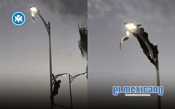 Joven rescata gaviota tras escalar luminaria en La Paz