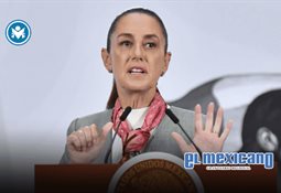 &iquest;El Punch mexicano? Yuji, mono beb&eacute; rechazado en Guadalajara, conmueve en redes