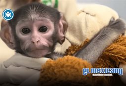 La IA transforma el compliance y acelera los procesos regulatorios