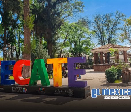 Tecate lanza registro gratuito de mascotas y licencia especial