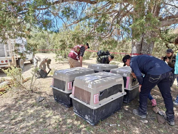 imagen-cuerpo imagen-cuerpo