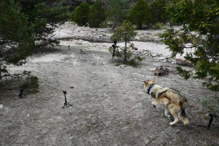 imagen-cuerpo imagen-cuerpo