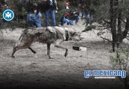 Asesinan a exalcalde en Oaxaca durante evento público Asesinan a exalcalde en Oaxaca durante evento público